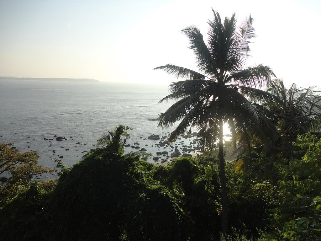 The Yuppi Hippi Hideout Hotel Anjuna Room photo